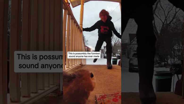 This is possumbly the funniest sound anyone has ever made