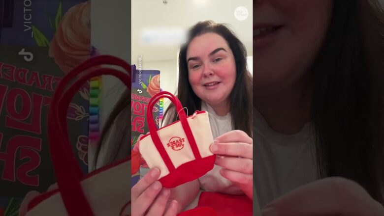 Trader Joe’s unveils new micro tote bags. What to know, how to get them.