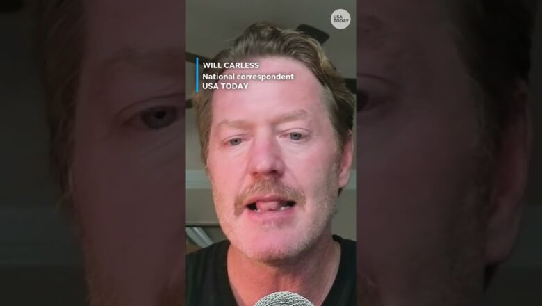 Trump official intervened in Andrew Tate investigation, report says