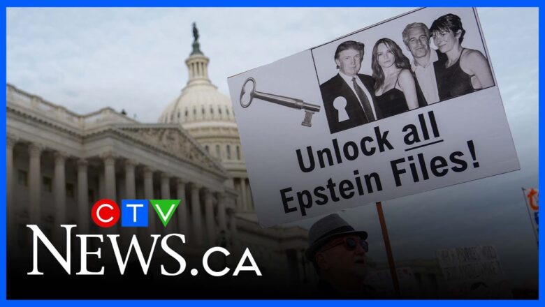 U.S. Department of Justice could censor Epstein files before releasing them: analyst