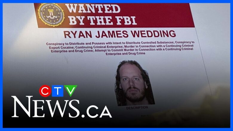 US$15M reward could appeal for public to turn in Canadian Ryan Wedding: former FBI agent