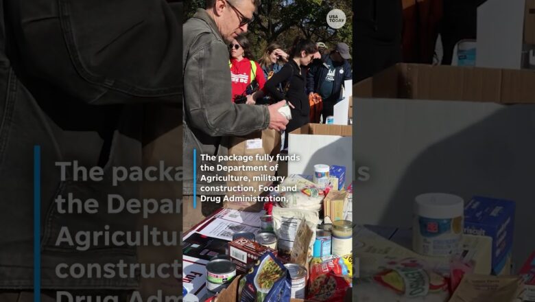 What’s in the shutdown deal to reopen the government? #Shorts