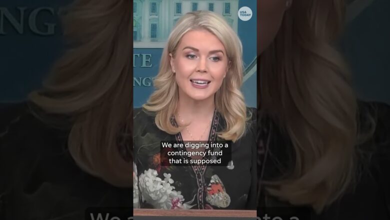 White House says partial SNAP benefits will go forward #Shorts