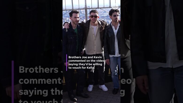 Who is Scott Kelly? See the viral resume gaining famous references like the Jonas Brothers