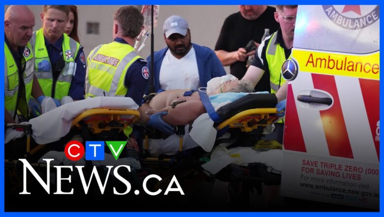 Are there additional suspects in the Sydney Bondi Beach shooting?