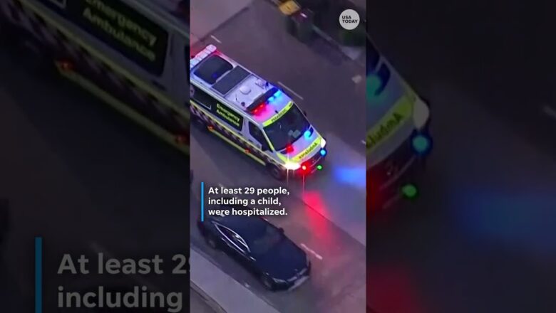 Australia shooting leaves 11 people dead, dozens injured