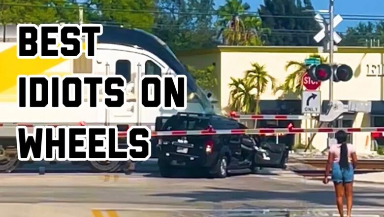 Best Idiots on Wheels | 2025