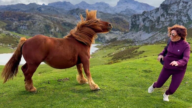 Best Viral Fails of December | Try Not to Laugh 🤣