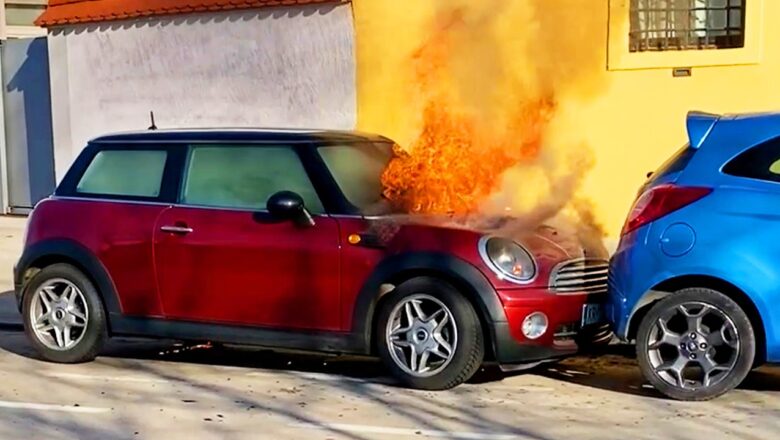 Best Viral Fails | Wild Fails Wednesday!