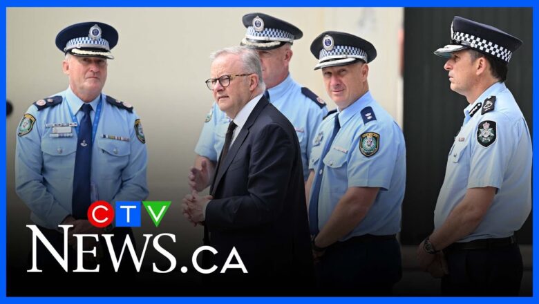 Bondi Beach shooting suspects left ‘breadcrumbs’ before attack: Security expert