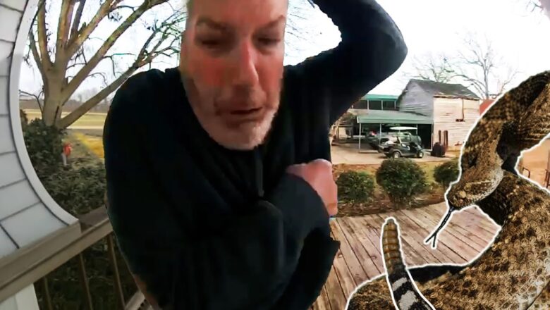 Caught in 4K! 😆 Best Security Camera Fails of 2025