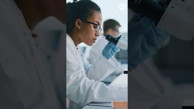 Could RFK Jr.’s vaccine panel upend the hepatitis B vaccine? Here’s what to know