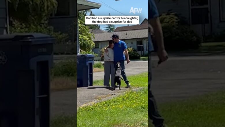 Dad had a surprise car for his daughter, dog had a surprise for dad
