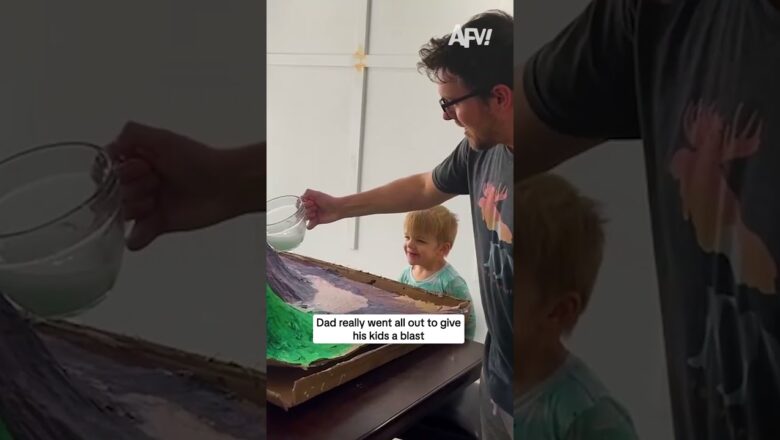 Dad really went all out to give his kids a blast