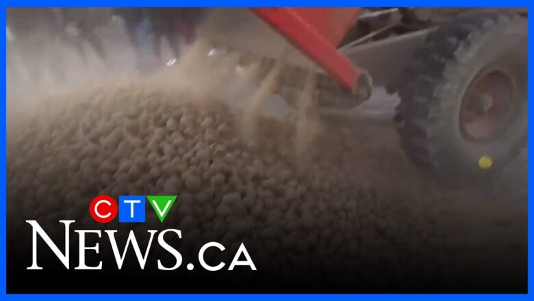 Farmer dumps truck full of potatoes onto street outside EU parliament
