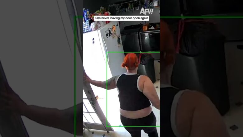 I am never leaving my door open again