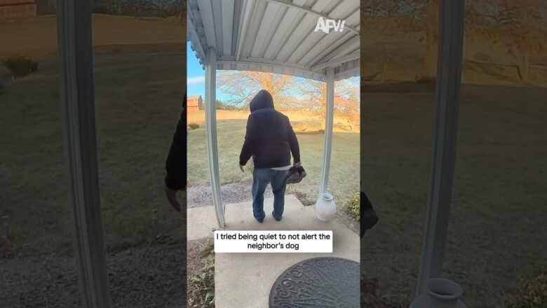 I tried being quiet to not alert the neighbor’s dog