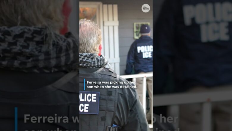 ICE releases relative of Press Secretary Karoline Leavitt #Shorts