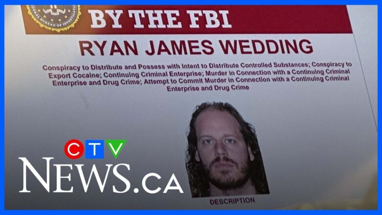Lawyer for alleged Canadian drug kingpin Ryan Wedding granted bail