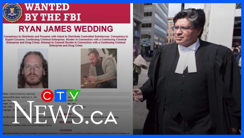 Lawyer in Ryan Wedding case granted $5.25 million bail