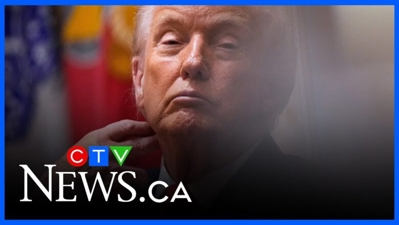 ‘Let them go back’ | Trump targets Somali immigrants living in Minnesota