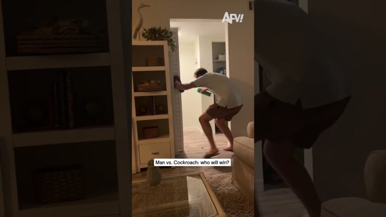 Man vs. Cockroach: who will win?