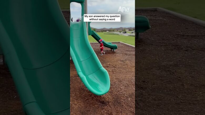 My son answered my question without saying a word