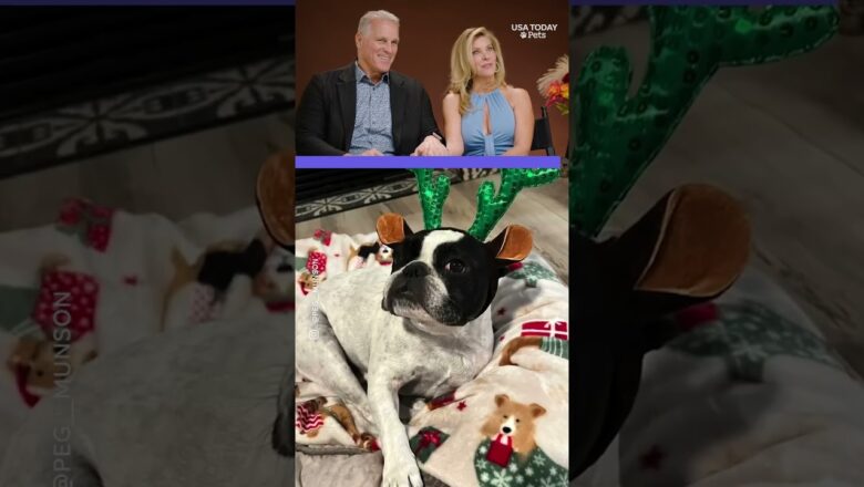 Peg Munson speculates her dog will love ‘Golden Bachelor’ Mel Owens