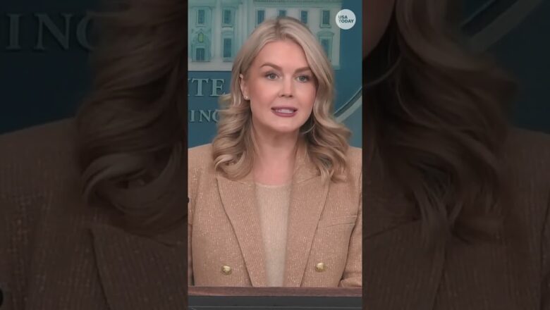 ‘Perfectly normal.’ White House releases details of President Trump’s MRI scan