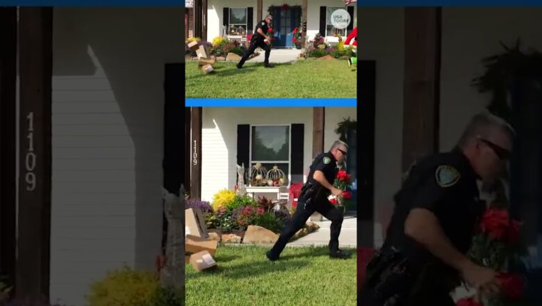 Police fake arrest the Grinch to prevent holiday theft