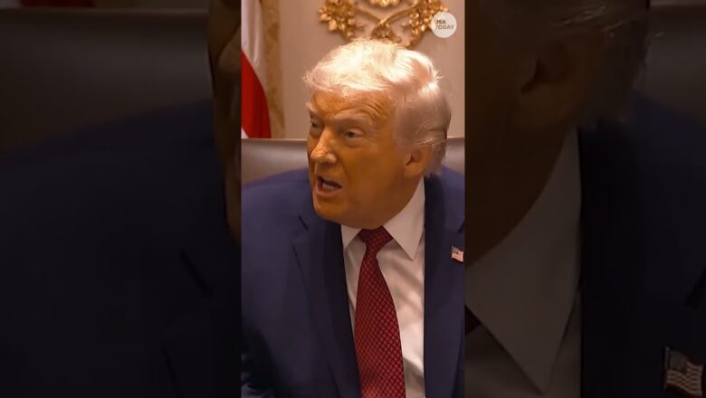 President Trump responds to Alina Habba’s resignation