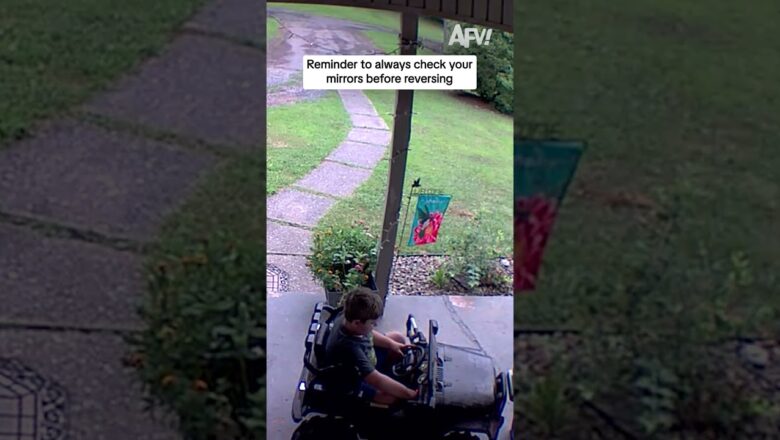 Reminder to always check your mirrors before reversing