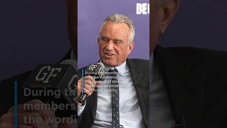 RFK Jr.’s vaccine panel delays hepatitis B shot vote after chaotic meeting