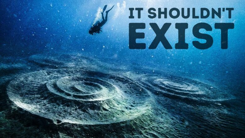 Something Made 1,300 Perfect Circles on the Seafloor