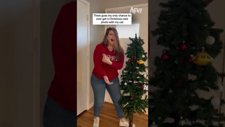 There goes my only chance to ever get a Christmas card photo with my cat