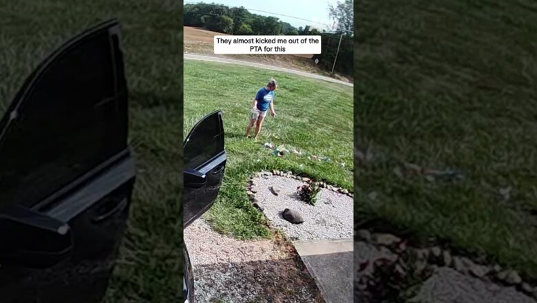 They almost kicked me out of the PTA for this