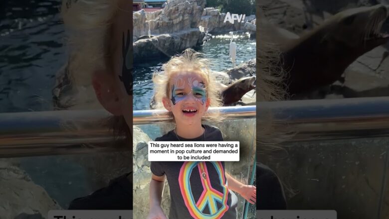 This guy heard sea lions were having a moment in pop culture and demanded to be included