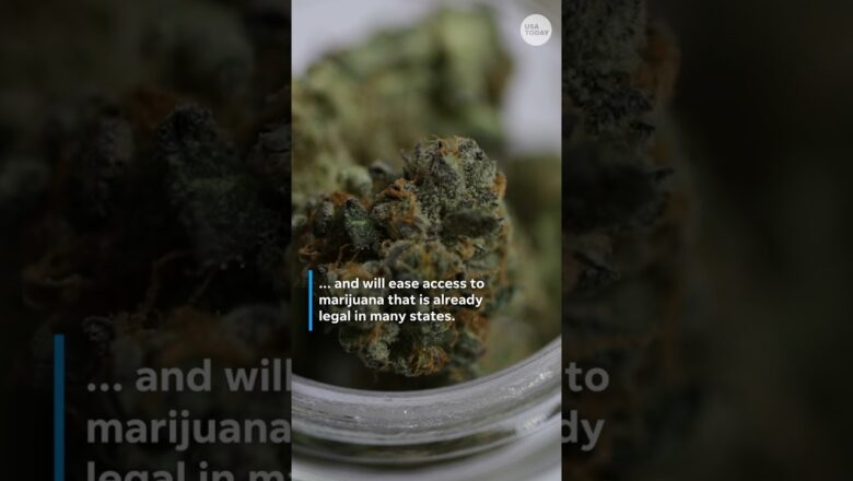 Trump signs executive order easing federal marijuana restrictions