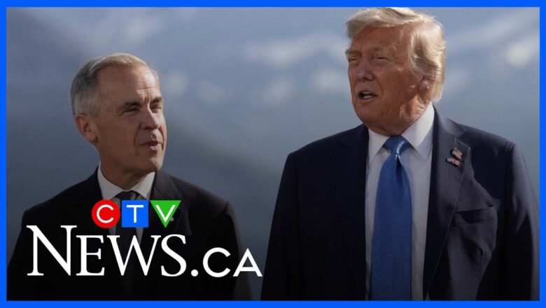 Trump’s military actions around the world result in a ‘bigger target on Canada’: Ham