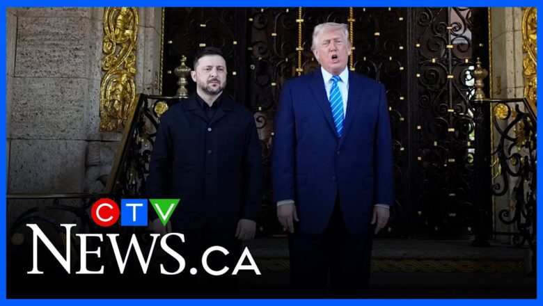 Unknown if Putin is seriously considering U.S. peace plan: military expert