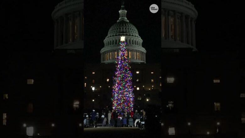 US Capitol Christmas tree lights up in ceremony