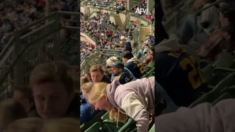 We tried starting the wave at the game but failed