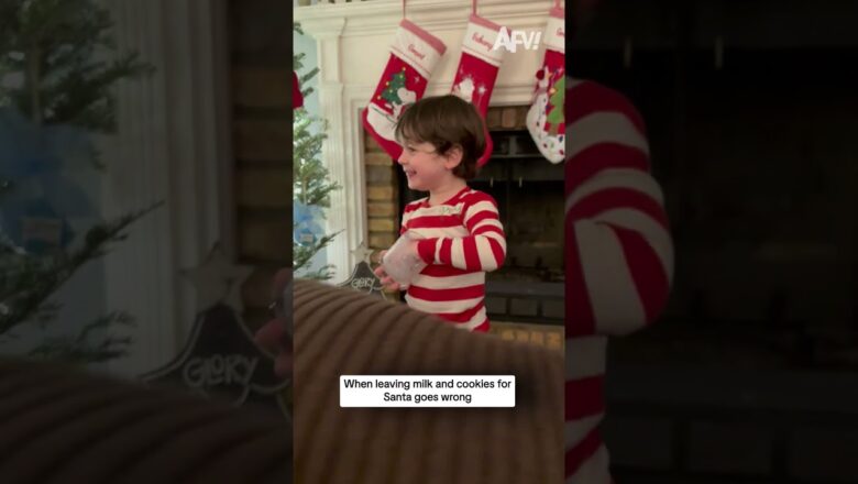 When leaving milk and cookies for Santa goes wrong