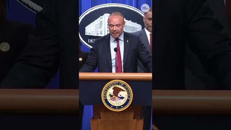 Who is Brian Cole Jr.? Feds identify DC pipe bomb suspect