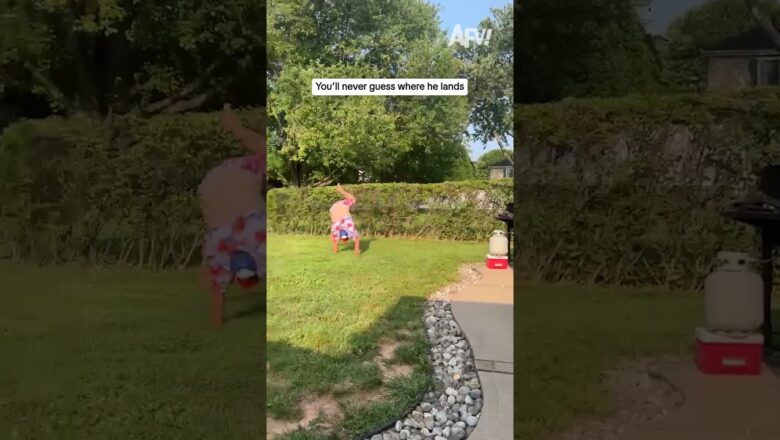 You’ll never guess where he lands