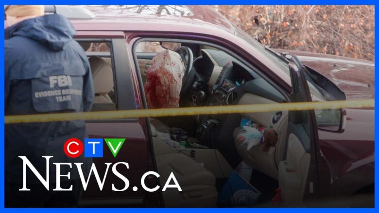 37-year-old woman shot and killed by ICE agent in Minnesota