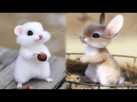 AWW Animals SOO Cute! Cute baby animals Videos Compilation cute moment of the animals #9 2025