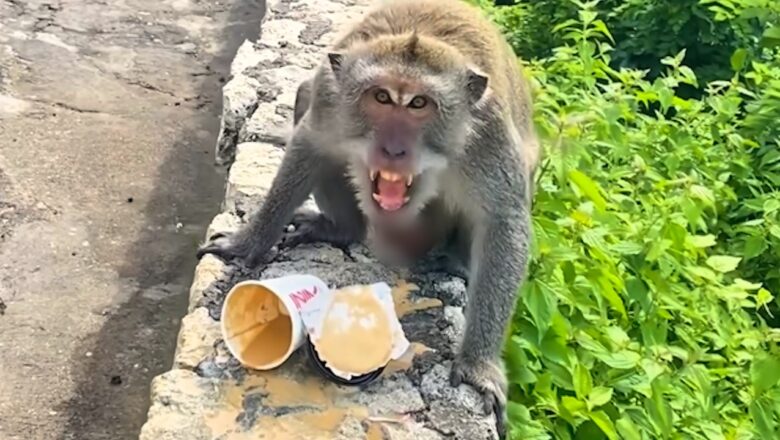 Best Fails of the Week | Completely Unhinged