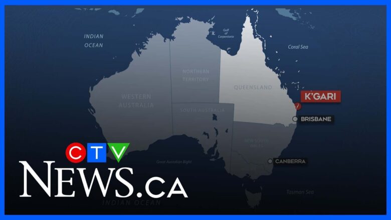 Body of 19-year-old woman found surrounded by wild dogs