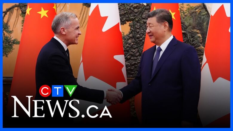 Chinese EVs in Canada creates more uncertainty in the auto sector, industry expert says